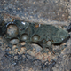 Crucible remnant containing an embedded chunk of slag.